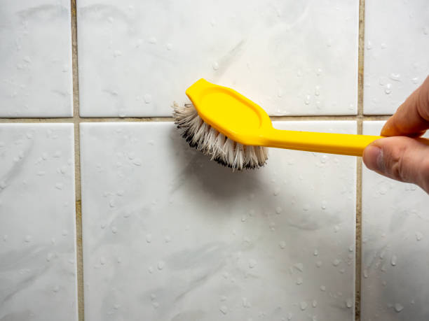 Best Commercial Mold Removal  in Oak Ridge, TN