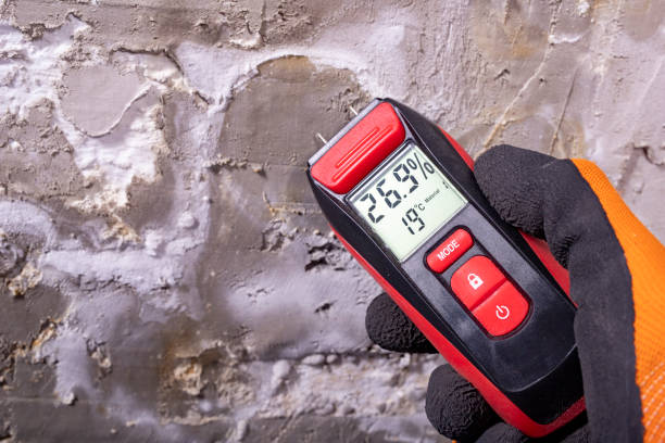 Trusted Oak Ridge, TN Mold Removal Experts